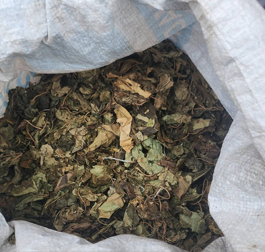 Dried Utazi Leaves