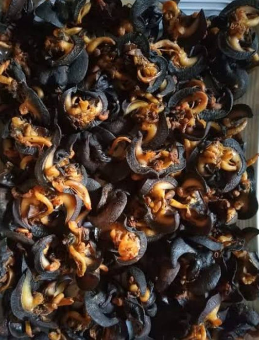 Oven Dried Snails