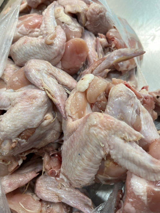 Chicken - Wings 10kg (Wholesale)